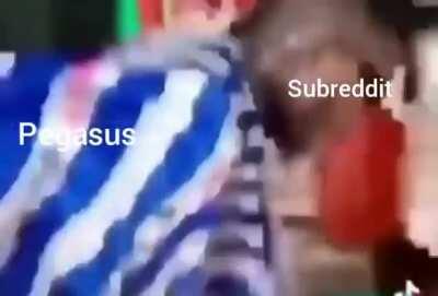 This subreddit be like: