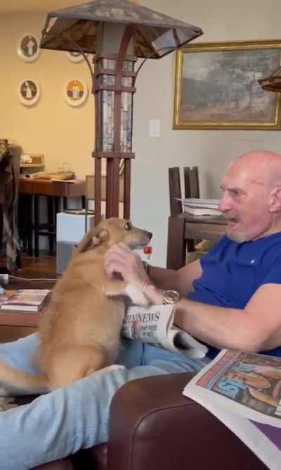 Less reading, more pets