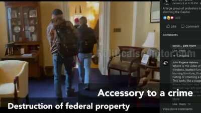 Naples Grocery store owner can “storm the Capitol” because “he is a reporter”