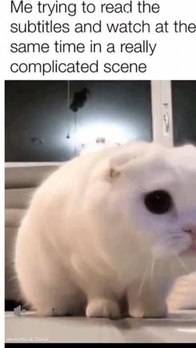 People thaat don’t speak Turkish will understand