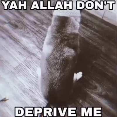 allah hold up