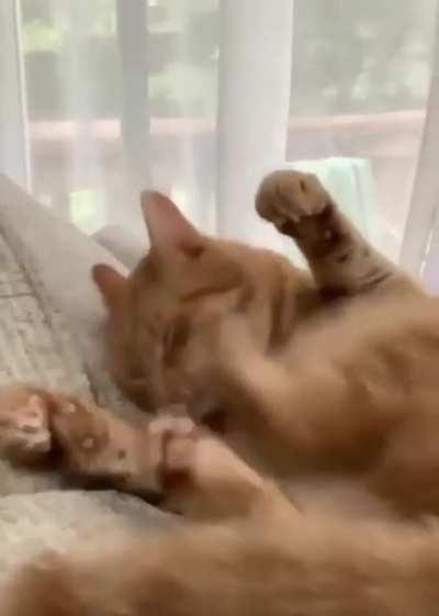 &ldquo;I&rsquo;ll do it myself&rdquo;