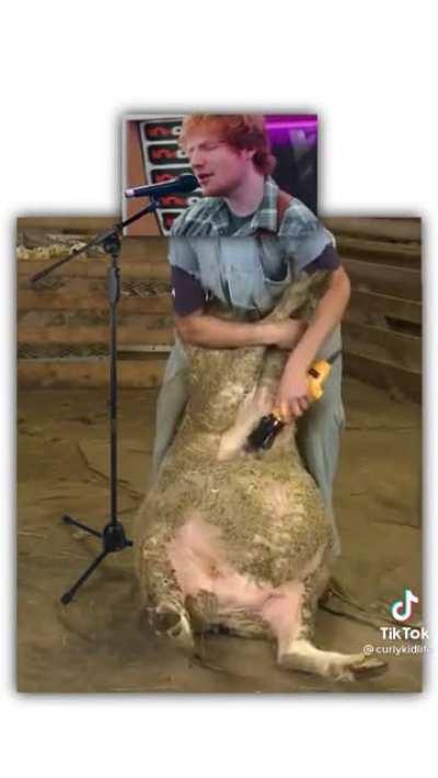 thanks, i hate Ed Shearing