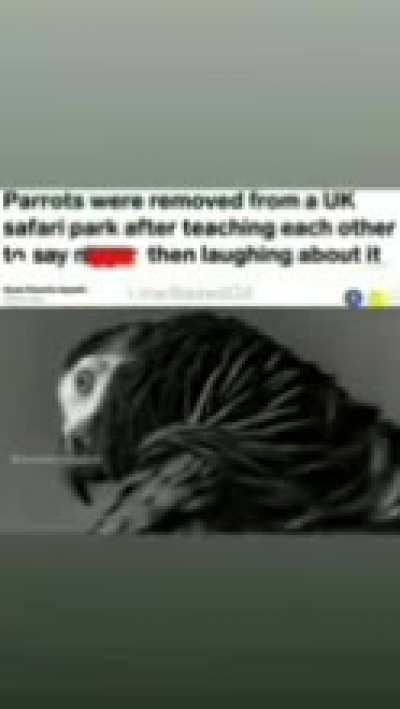 I'm 15 and this is yeet