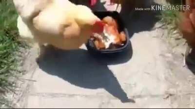 essa última temporada de The Walking Dead parece estar boa