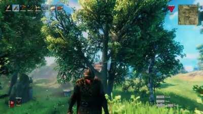 Mother Nature at its finest