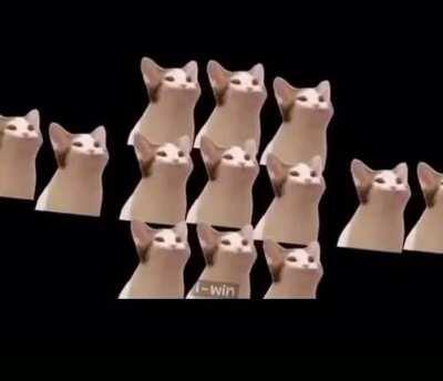 No idea what I’ve found but I love it.