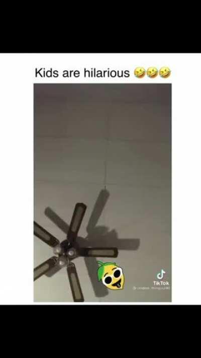 Why aren't you vegan yet?