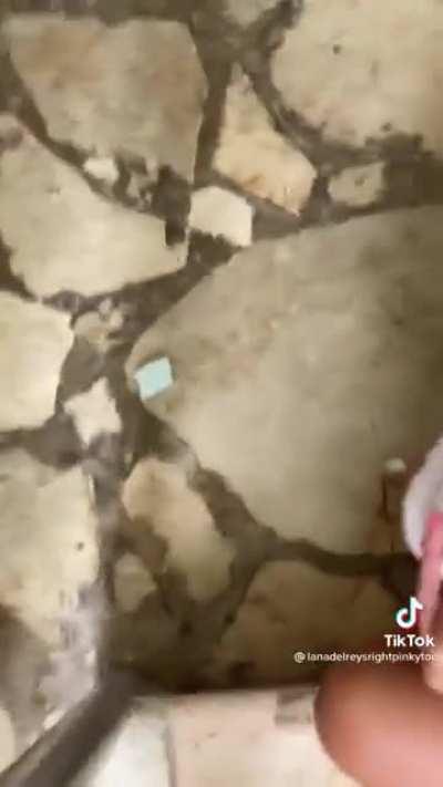 Sorry if this has been shared before. I'm scared to put my shoes on