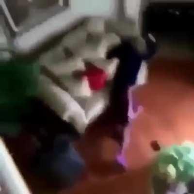 Remember to land on the couch