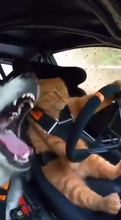 My mum just sent me this and asked if it was real