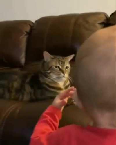 You seein this lil piece of shit