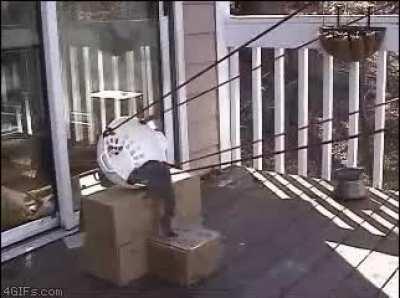 Ight, Imma Head Outt...