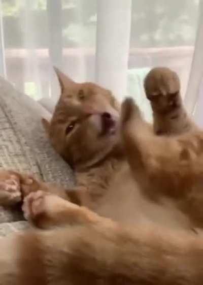 Paw.exe has encountered an error and must be restarted