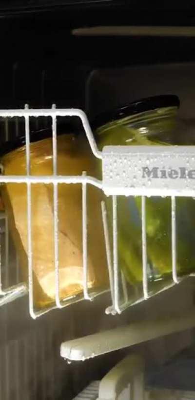 Dishwasher fish anyone?