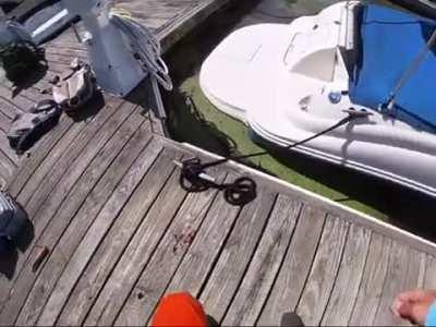 Kids caught a 30 inch striper