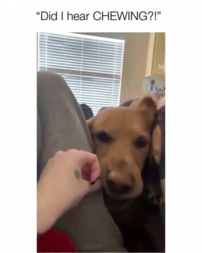 Did I hear CHEWING?!
