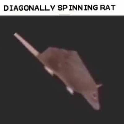 something to hold us over until the real version