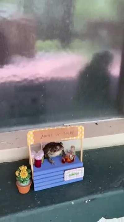 support small businesses