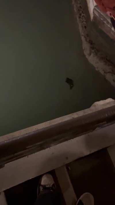 My friends good deed is punished