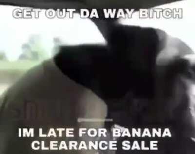 UPVOTE PARA QUE LA ZORRA BASTARDA LO VEA