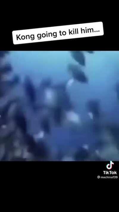 This really what it’s gonna be like