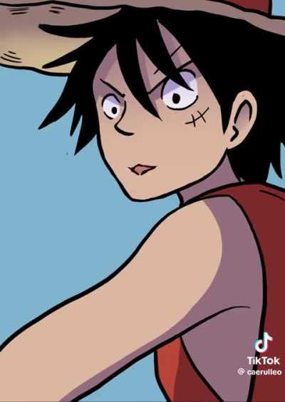 The meaning of Life by Monkey D Luffy