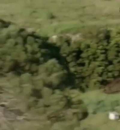 Born Free As Free As The Wind Blows. As Free As The Grass Grows. Born Free To Follow Your Heart.