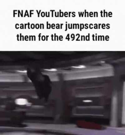 WHEN THE FEDDY IS SUSSS