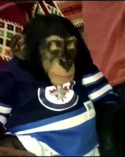 Caí en el viejo truco del monete politoxicomano