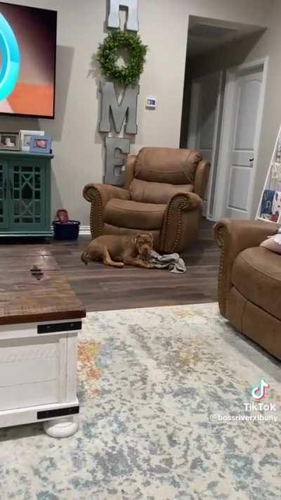 Ele tentou pelo menos