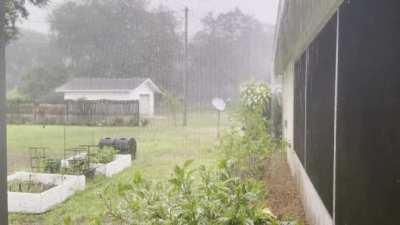 Finally a little rain in Southwest Florida!