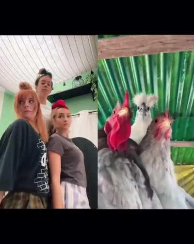 The reason internet was invented 