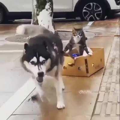 Don’t worry bro! You will arrive at the meeting on time!