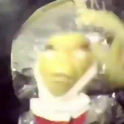 Aleins after extracting Sunraybee's Brain