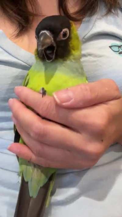 and WHERE do you think you’re going..?