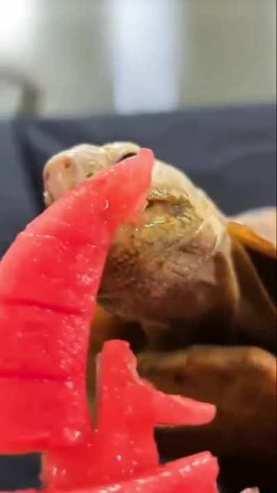 "vicious sea monster" devours a boat