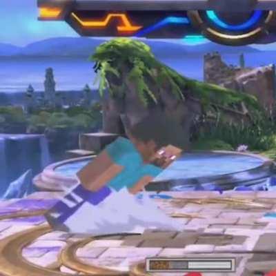 Steve Bootup Animation