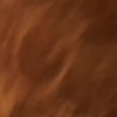 It's getting spicy at congress.