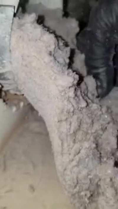 Years worth of dryer lint