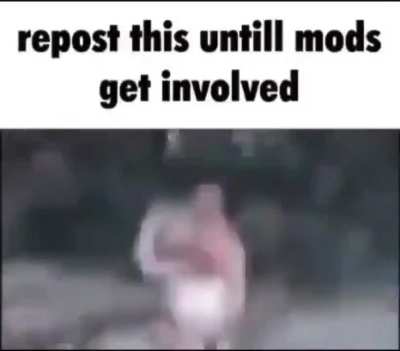 get involved losers