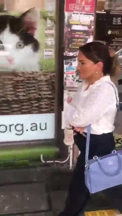 Australian Daily Telegraph 