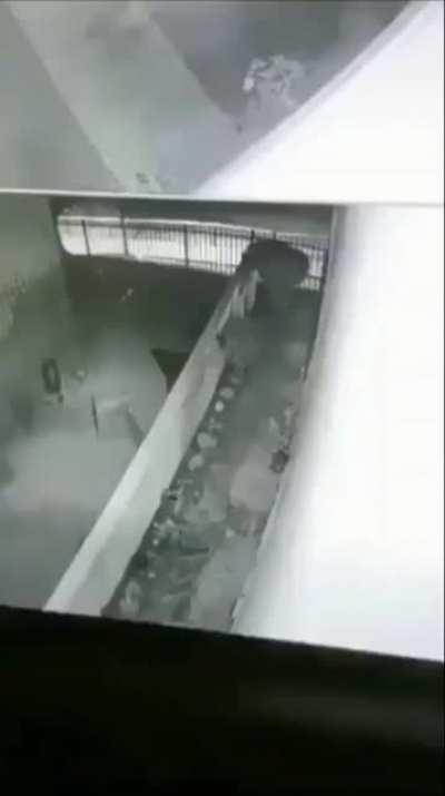 CCTV footage captures person dashing on all fours in the dead of night