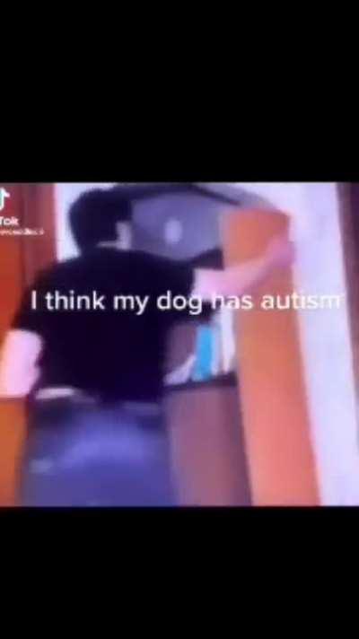 yo whats up with my dog