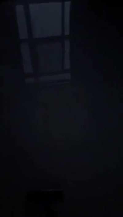 Every cat owner goes through this