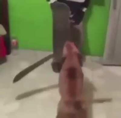 idk what can be said about this