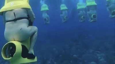 Jarlings spotted in the wild