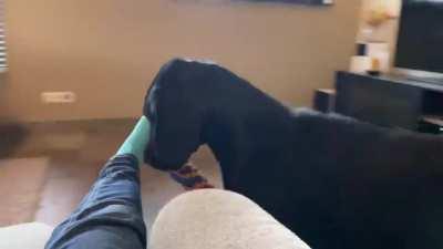 High speed chair spinning game