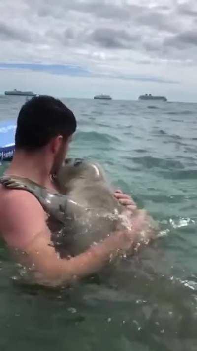 Летние впечатления