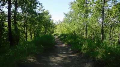 Звуки природы и города!